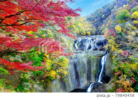 袋田の滝の秋 79840456