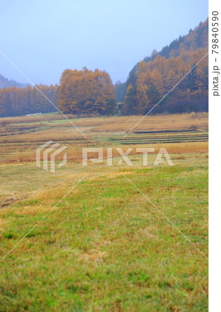 木曽路の高原　秋の静寂な風景 79840590