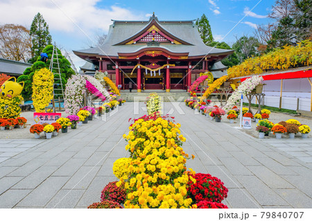 笠間稲荷神社と菊祭り 79840707