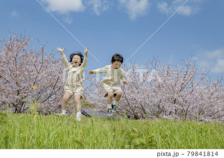 桜の咲く土手で遊ぶ姉と弟 79841814