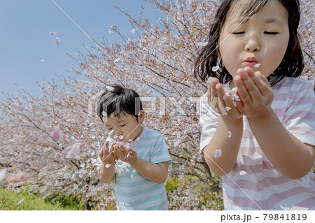 桜の咲く土手で花びらを吹いて遊ぶ姉と弟 桜の咲く土手で花びらを吹いて遊ぶ姉と弟 79841819