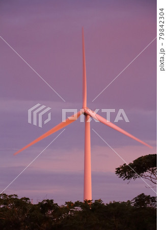 朝日で赤く染まった風力発電の風車 朝日で赤く染まった風力発電の風車 79842304