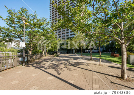東京都品川区の五反田ふれあい水辺広場 東京都品川区の五反田ふれあい水辺広場 79842386