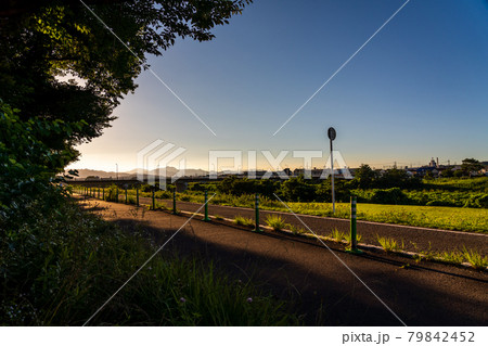 夏の夕陽　公園通り　夏 79842452