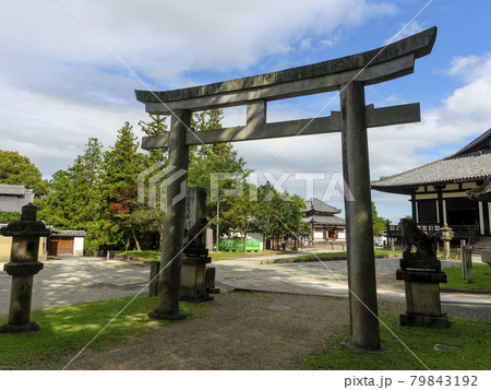 夏の青空と手向山八幡宮の鳥居 79843192