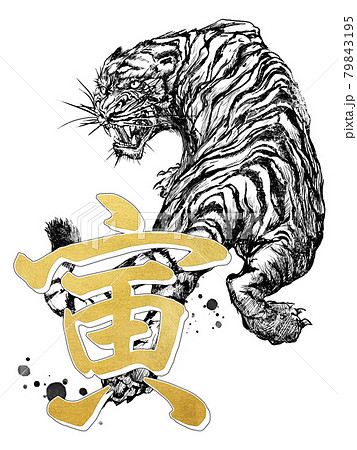 寅年の年賀素材 寅年の年賀素材 79843195