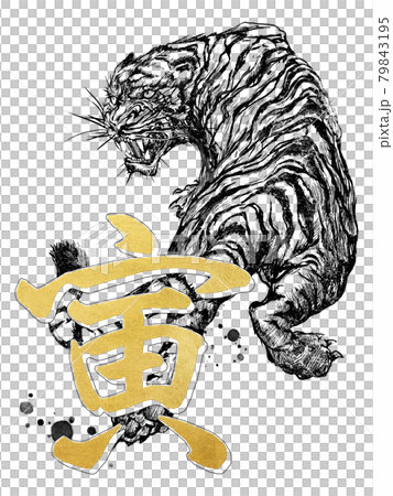 New Year's material of the tiger year New Year's material of the tiger year 79843195