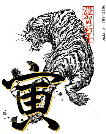 寅年の年賀素材 寅年の年賀素材 79843196