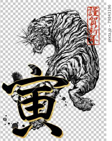 寅年の年賀素材 寅年の年賀素材 79843196