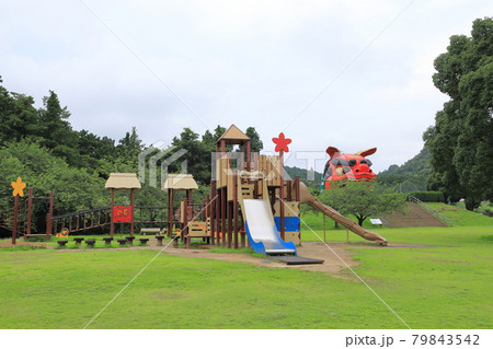 常陸風土記の丘　ふれあい広場　茨城県石岡市 79843542