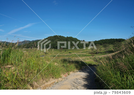 《兵庫県》晴れの日、砥峰高原の風景【9月】 《兵庫県》晴れの日、砥峰高原の風景【9月】 79843609