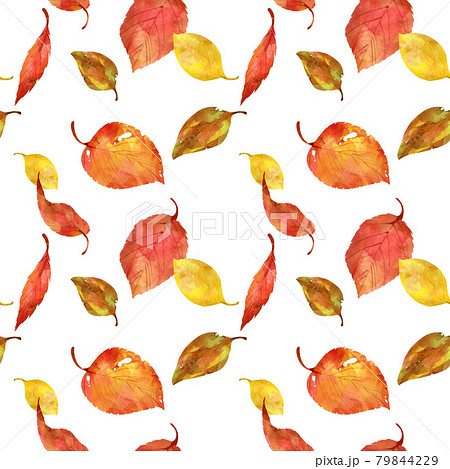 紅葉 枯葉 水彩 パターンのイラスト素材