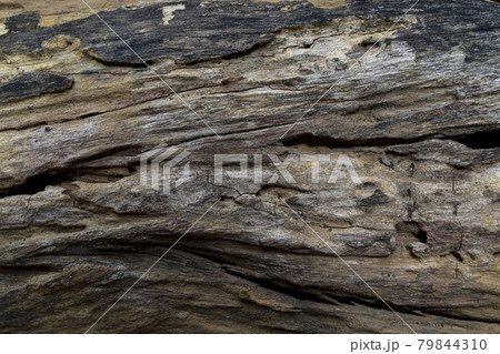Natural weathered old dark brown texture background. Wooden board texture background. Natural weathered old dark brown texture background. Wooden board texture background. 79844310