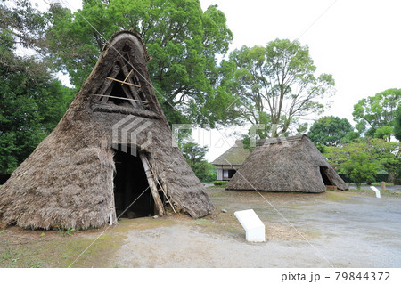 常陸風土記の丘　古代家屋復元広場　縄文・弥生時代住居 79844372