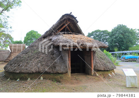 常陸風土記の丘 古代家屋復元広場 縄文・弥生時代住居 常陸風土記の丘 古代家屋復元広場 縄文・弥生時代住居 79844381