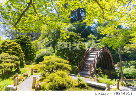 Sunny view of the Japanese Tea Garden in Golden Gate Park 79844913