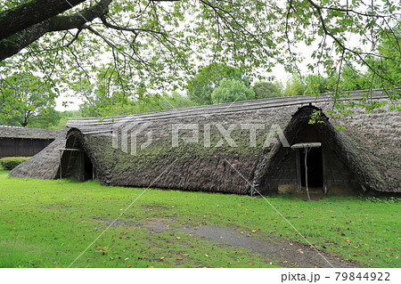常陸風土記の丘　古代家屋復元広場　連房式竪穴遺構 79844922