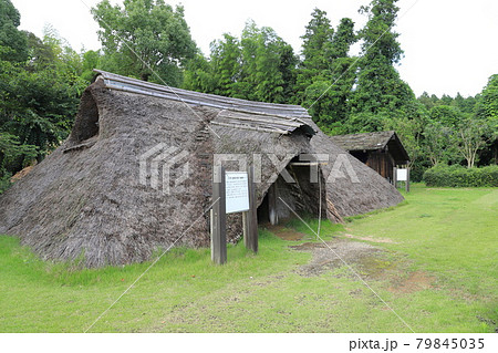 常陸風土記の丘　古代家屋復元広場　連房式竪穴遺構 79845035