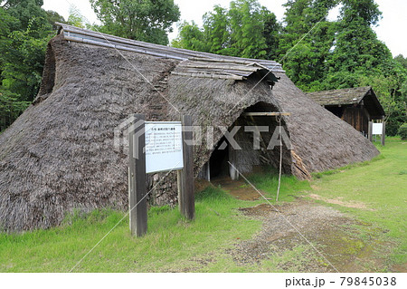 常陸風土記の丘　古代家屋復元広場　連房式竪穴遺構 79845038