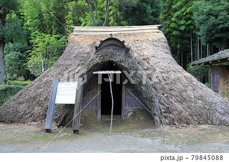 常陸風土記の丘　古代家屋復元広場　竪穴住居 79845088