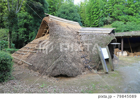 常陸風土記の丘 古代家屋復元広場 竪穴住居 常陸風土記の丘 古代家屋復元広場 竪穴住居 79845089