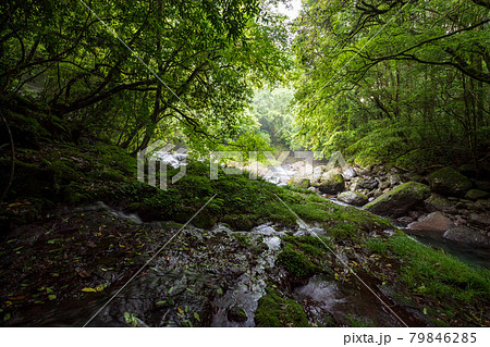 雨の中に流れる清流菊池渓谷の滝の美しい風景 雨の中に流れる清流菊池渓谷の滝の美しい風景 79846285
