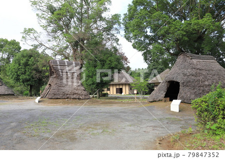 常陸風土記の丘　古代家屋復元広場　縄文・弥生時代住居 79847352