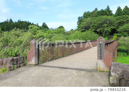 常陸風土記の丘 金龍橋(きんりゅうばし) 常陸風土記の丘 金龍橋(きんりゅうばし) 79850226