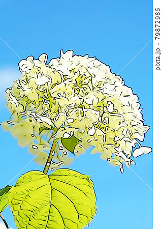 パステル調 アジサイの花 イラストイメージのイラスト素材