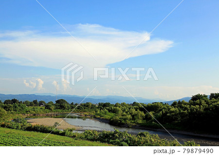 夏の庄内平野風景　赤川 79879490