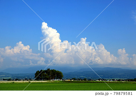 夏の庄内平野風景　入道雲 79879581
