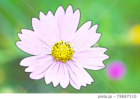 パステル調 満開のコスモス イラストイメージのイラスト素材