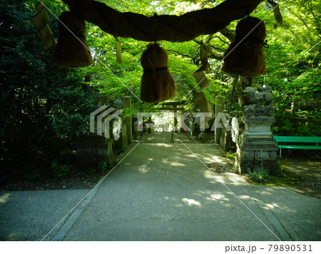 森の中の神社 森の中の神社 79890531