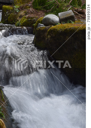 清流 清流 79899334