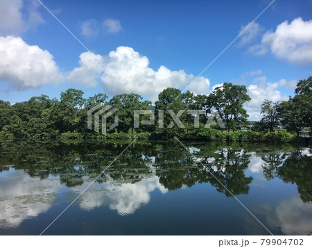 清々しい朝 79904702