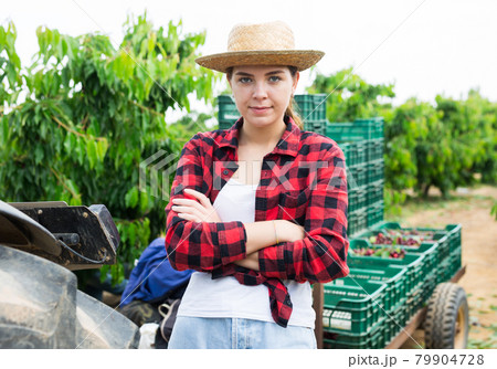 Portrait of successful owner of orchard with freshly gathered cherry 79904728