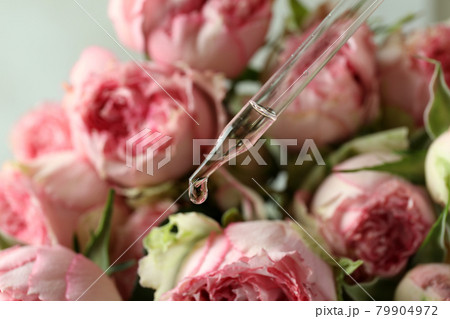 Rose essential oil falling from glass dropper 79904972