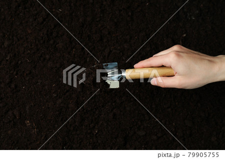Female hand hold shovel for gardening on soil background 79905755