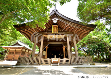 志賀海神社　志賀島　金印街道　海の中道　福岡市東区志賀島　 79909295
