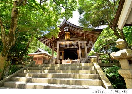 志賀海神社 志賀島 金印街道 海の中道 福岡市東区志賀島 志賀海神社 志賀島 金印街道 海の中道 福岡市東区志賀島 79909300