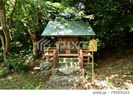 志賀海神社　志賀島　金印街道　海の中道　福岡市東区志賀島　 79909302