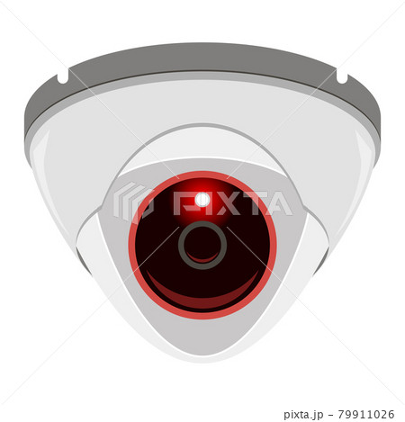 Professional CCTV Camera Isolated on White Background. Outdoor Video System 79911026