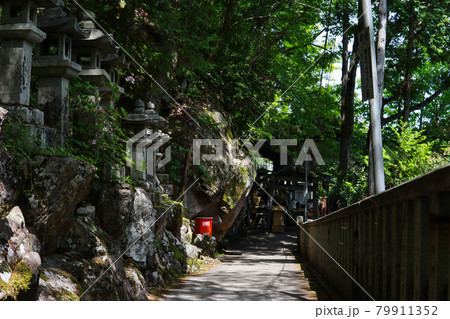 夏の神社 79911352