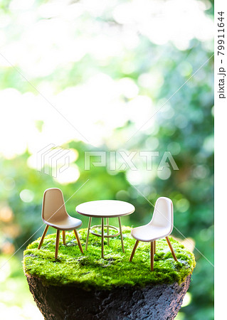 自然の中での対話イメージ 自然の中での対話イメージ 79911644