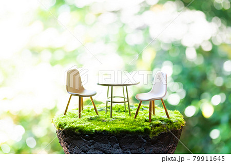 自然の中での対話イメージ 自然の中での対話イメージ 79911645