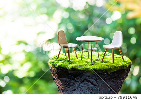 自然の中での対話イメージ 79911648