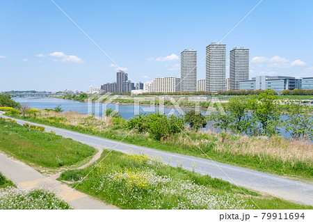 多摩川河川敷　神奈川県川崎市側から望む東京都大田区のビル群 79911694