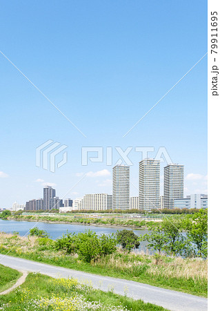多摩川河川敷　神奈川県川崎市側から望む東京都大田区のビル群 79911695