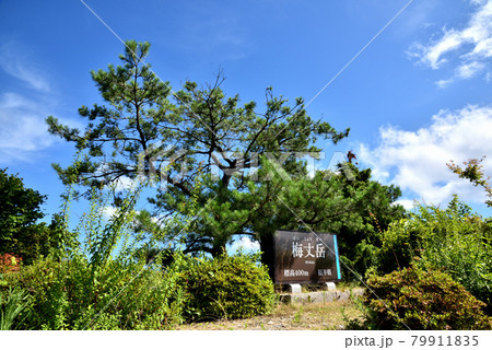 福井県三方五湖国定公園 福井県三方五湖国定公園 79911835