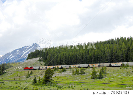 春のカナディアン・ロッキー バンフ国立公園 レイク・ルイーズ付近を走る貨物列車(カナダ) 春のカナディアン・ロッキー バンフ国立公園 レイク・ルイーズ付近を走る貨物列車(カナダ) 79925433